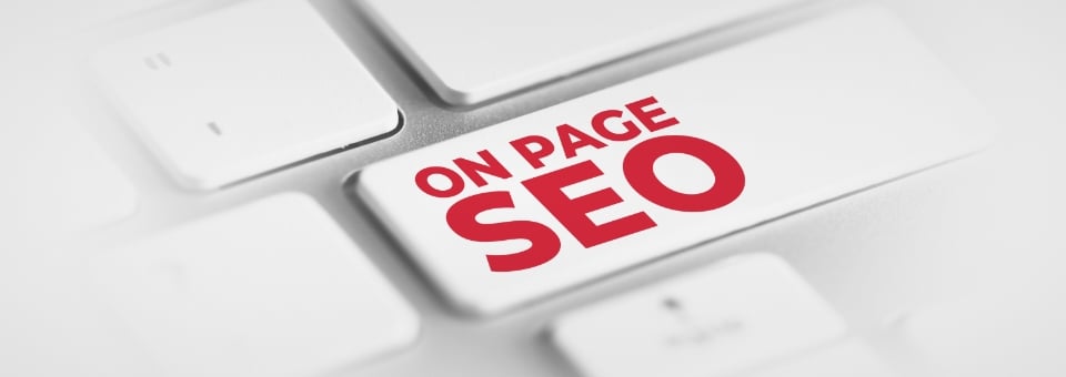 Search Engine Optimization (SEO) Services - On page SEO