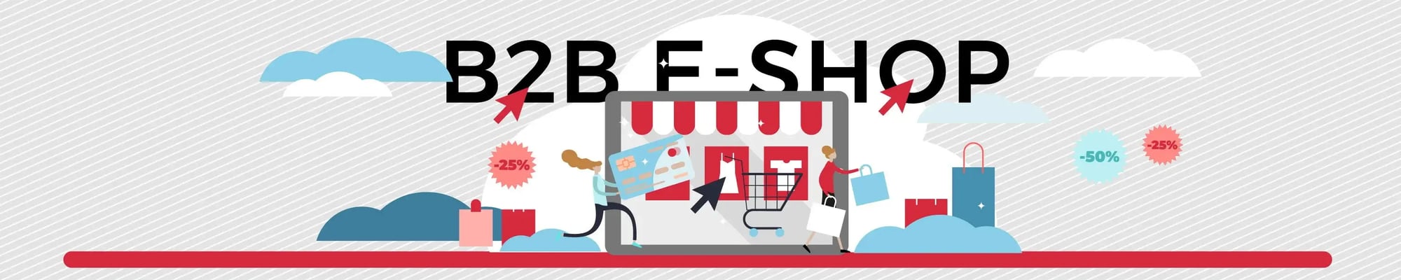 B2B E-Shops - online shop solutions