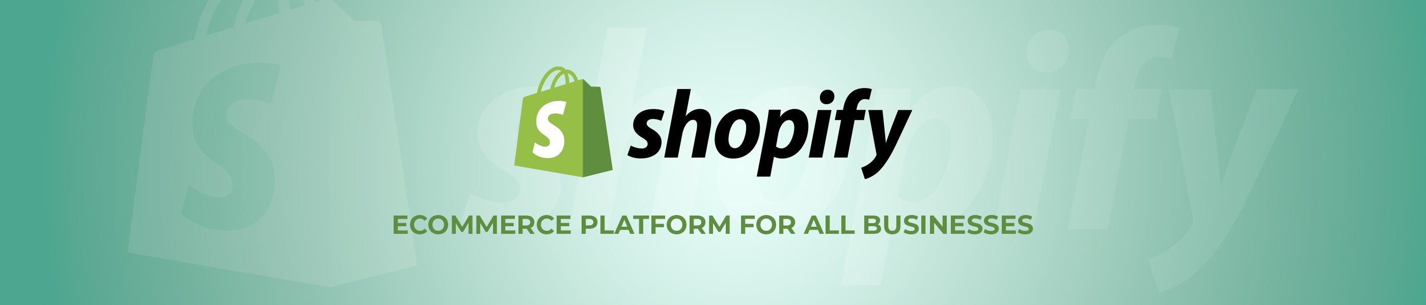 Professional Shopify Consulting Services