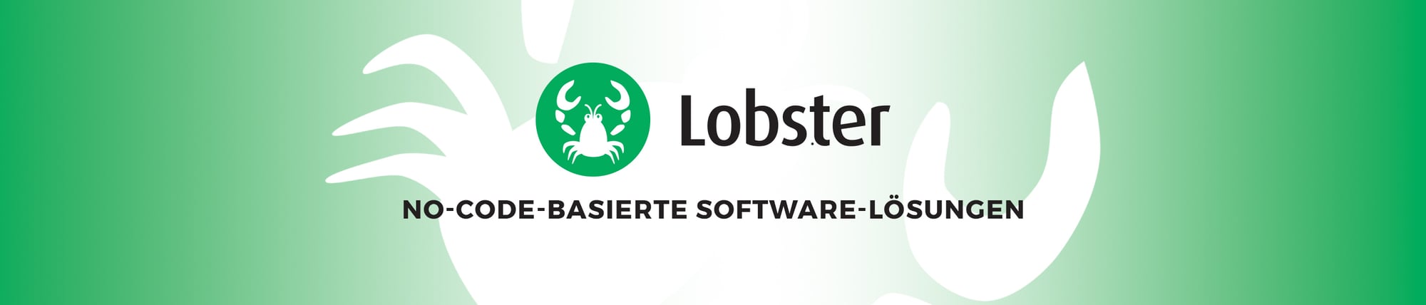 Lobster Support and Consultancy- W4 Agentur