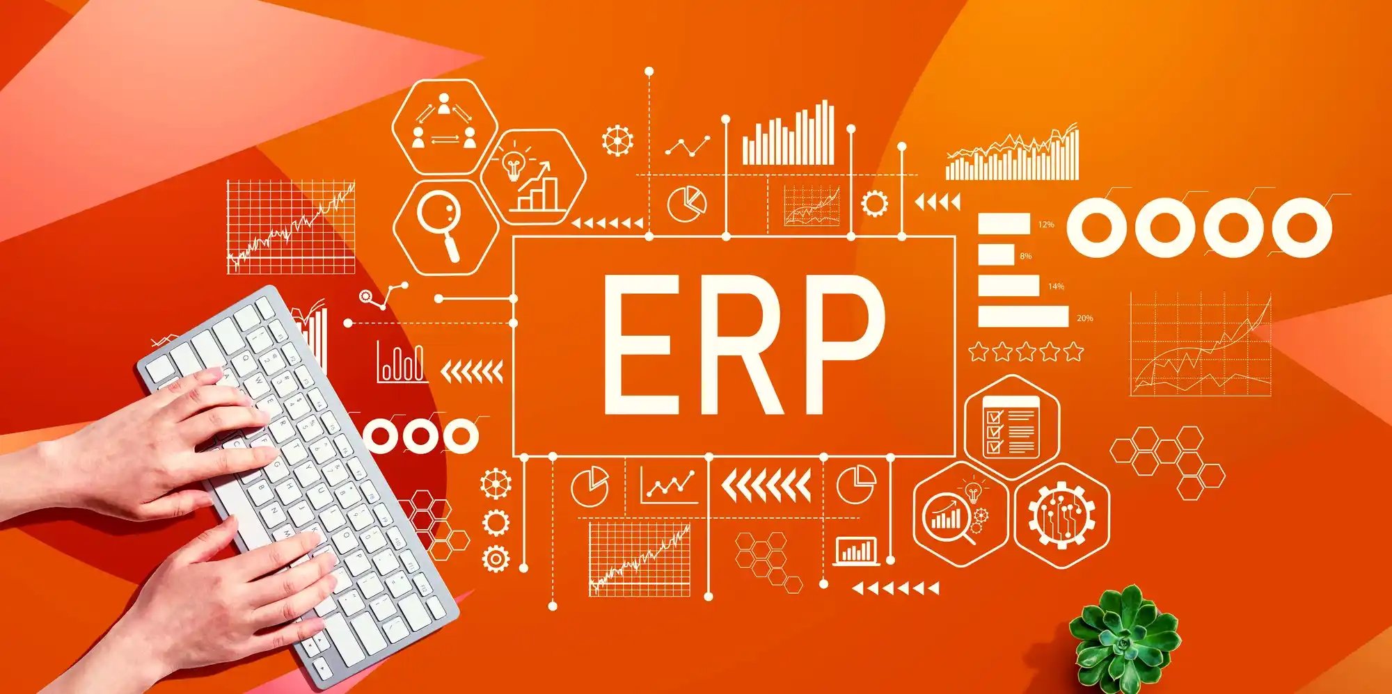 ODOO ERP ENTWICKLUNG DRESDEN