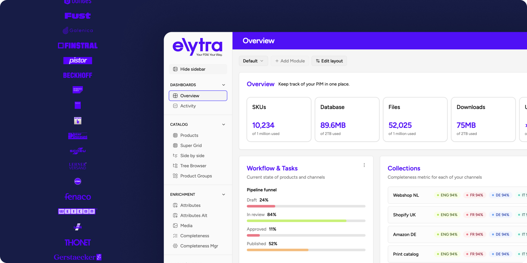 Elytra_1