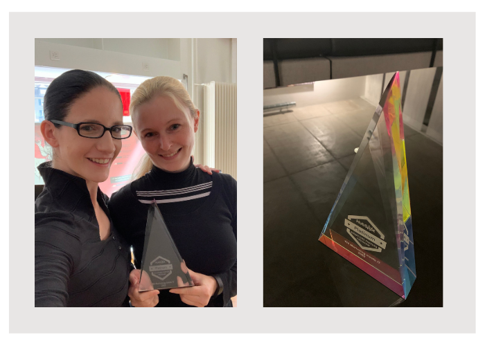 HubSpot Platin Award Teaser 2