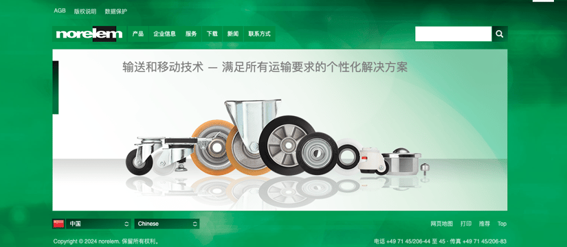 Chinese Website of Norelem