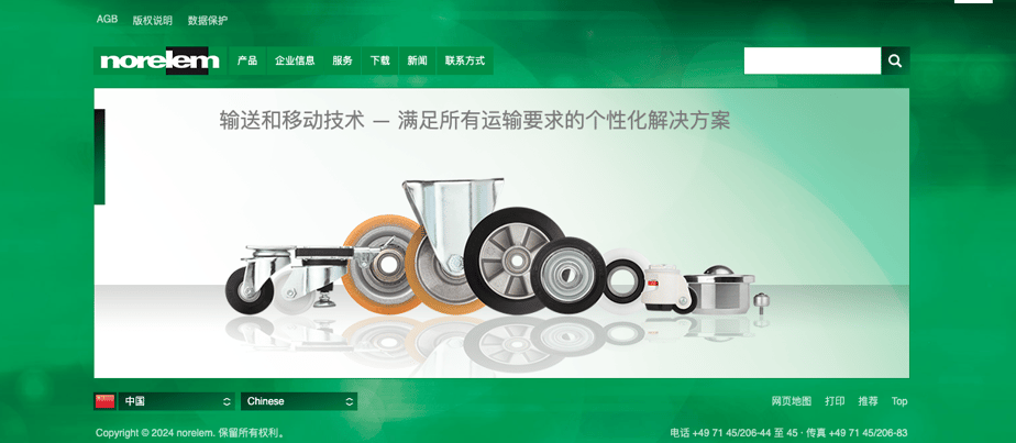 Chinese Website of Norelem