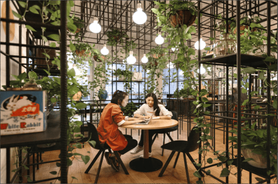 W4 Office Shanghai