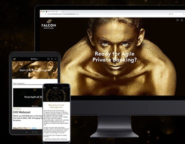 Falcon bank_preview