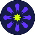 HeroIcon-1