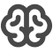 Brain