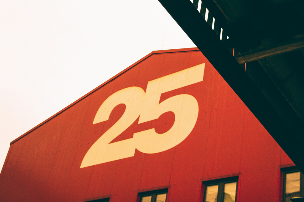 25years_milestones