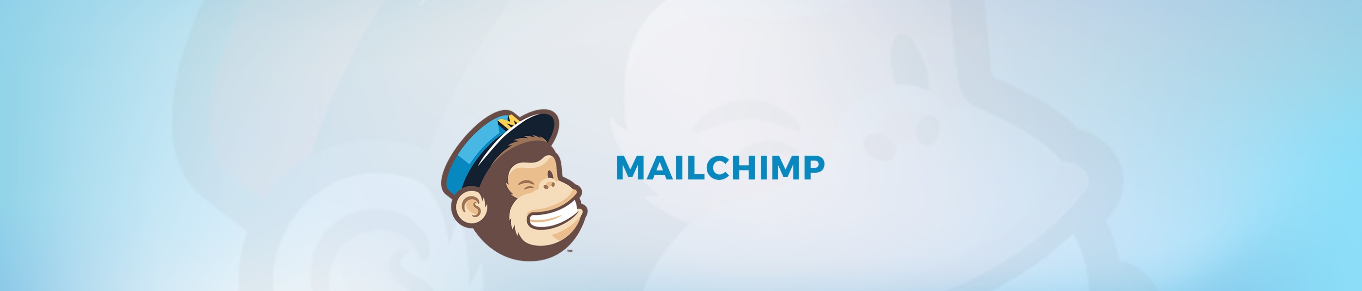 180108_Mailchimp.jpg