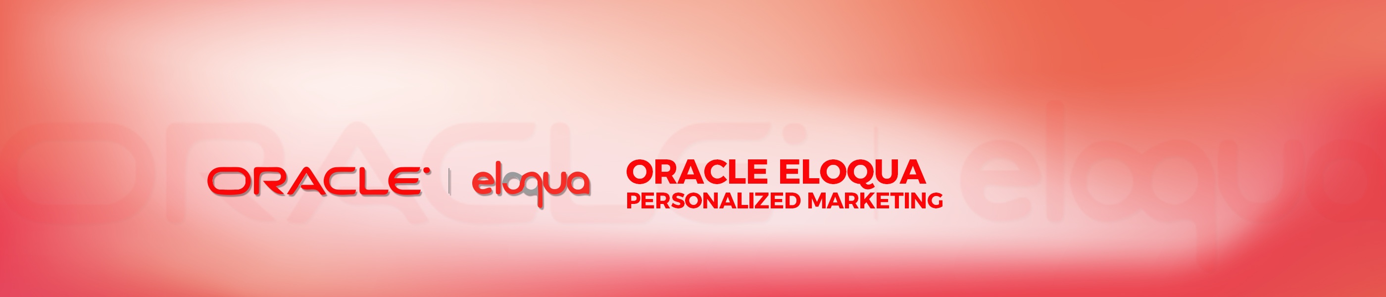 180108_Produkte_OracleEloqua_EN.jpg