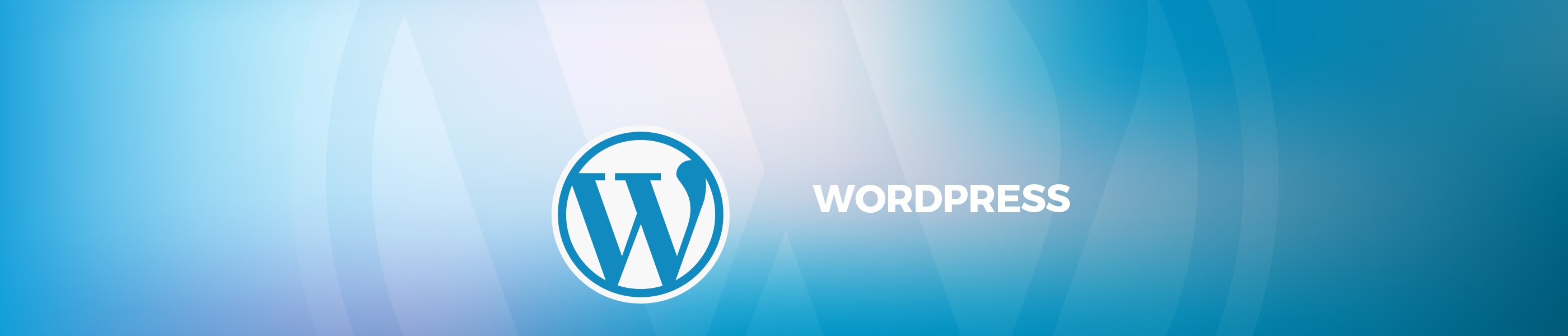 Professional WordPress Consulting Services