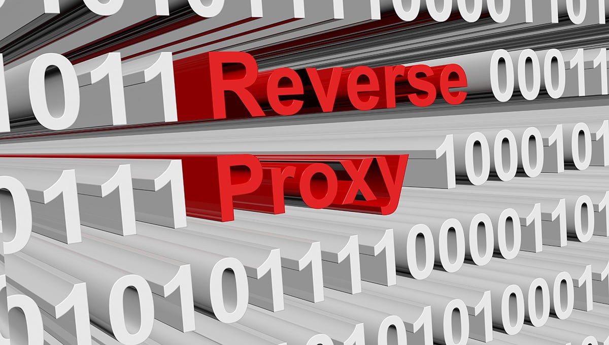 Reverse_proxy_image_01_1200px Reverse_proxy_image_01_1200px