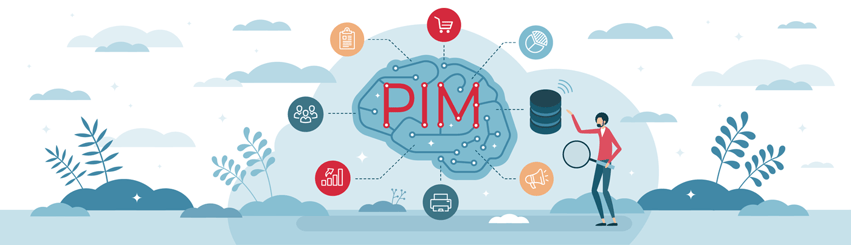 The Role of PIM in Digital Transformation