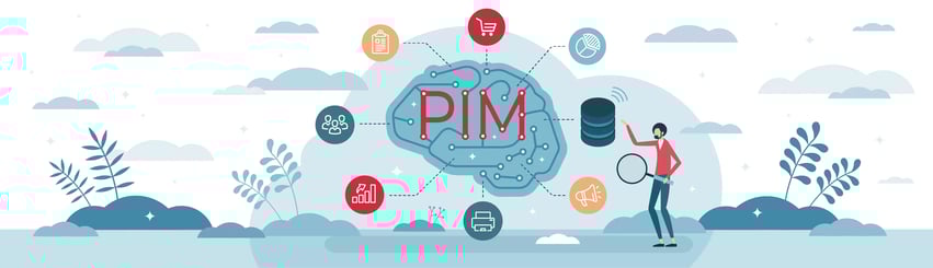 What is PIM?
