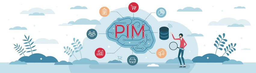 What is PIM?