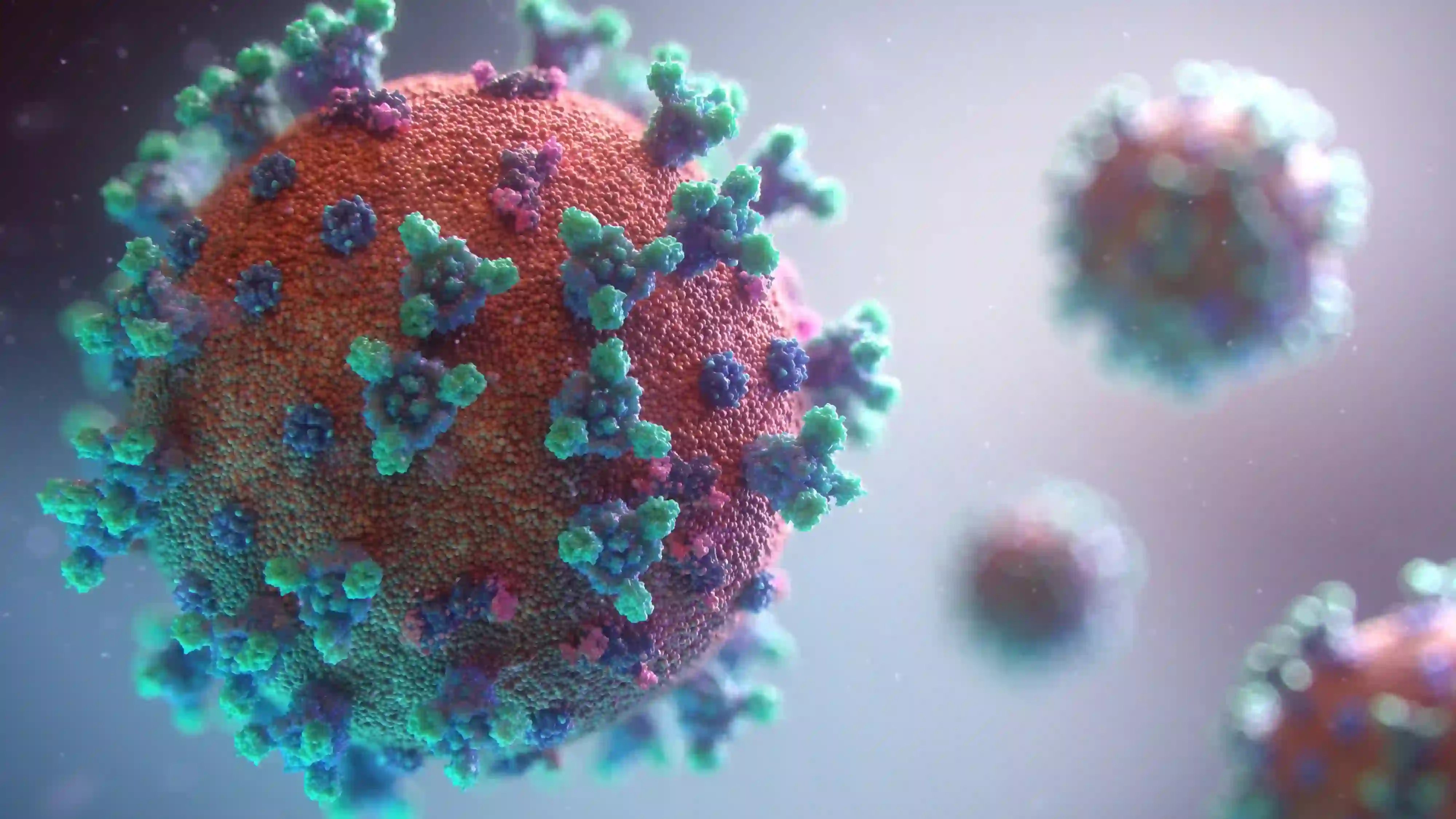 W4_Coronavirus_COVID-19