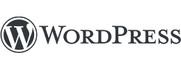 IT-Marketing-Agentur Softwareentwicklung - wordpress