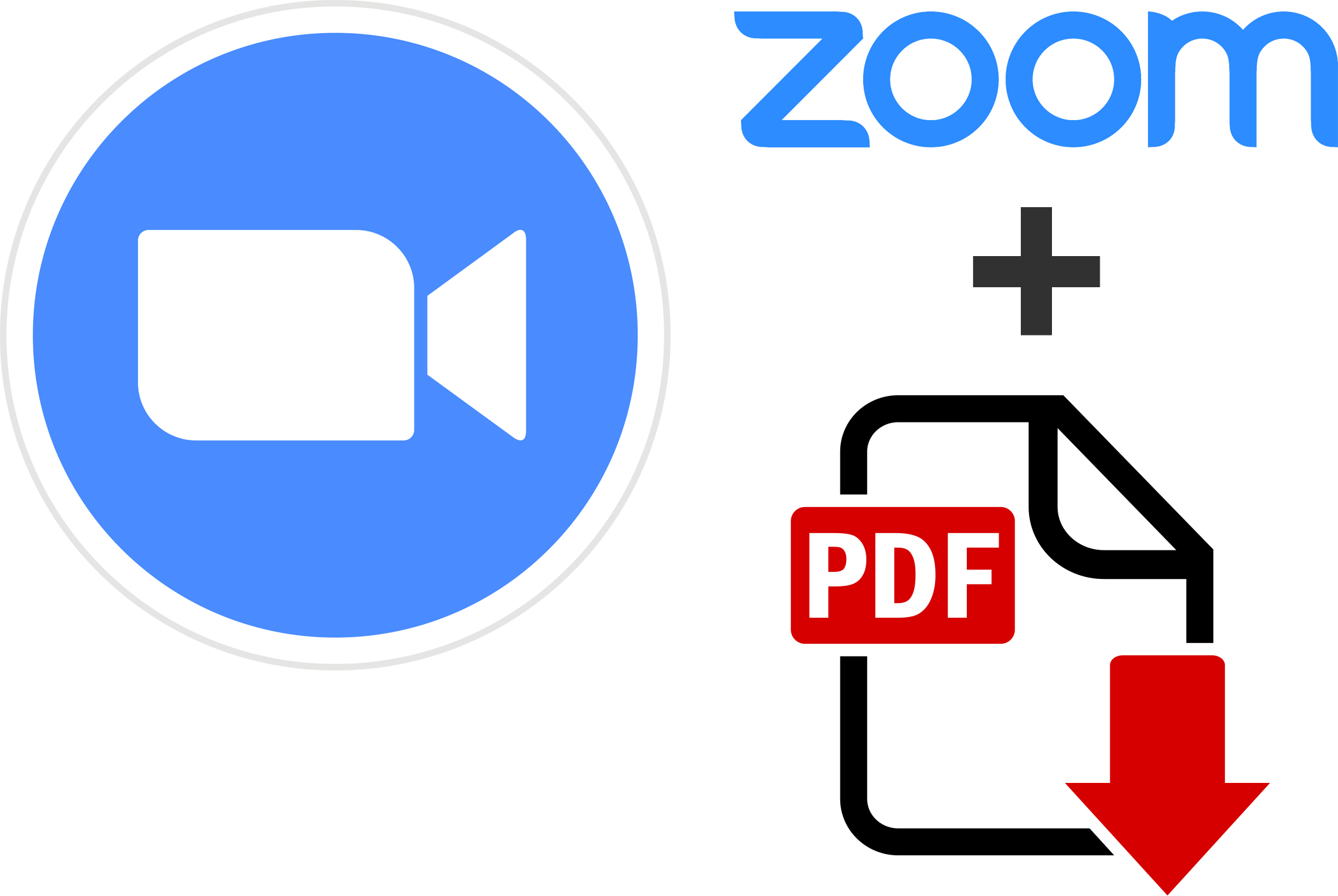 zoom pdf